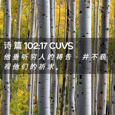Picture 02 - 诗 篇 102:17 CUVS - 他 垂 听 穷 人 的 祷 告 ， 并 不 藐 - Bible Verse Picture