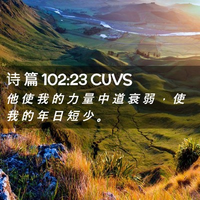 Picture 02 - 诗 篇 102:23 CUVS - 他 使 我 的 力 量 中 道 衰 弱 ， 使 - Bible Verse Picture