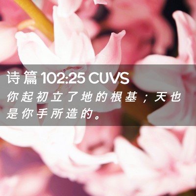 Picture 02 - 诗 篇 102:25 CUVS - 你 起 初 立 了 地 的 根 基 ； 天 也 - Bible Verse Picture