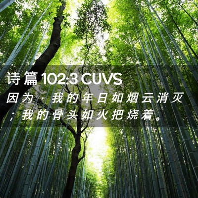 Picture 02 - 诗 篇 102:3 CUVS - 因 为 ， 我 的 年 日 如 烟 云 消 灭 - Bible Verse Picture