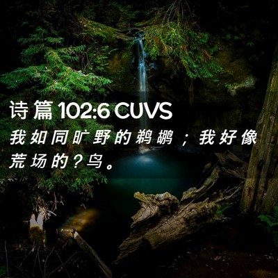 Picture 02 - 诗 篇 102:6 CUVS - 我 如 同 旷 野 的 鹈 鹕 ； 我 好 像 - Bible Verse Picture