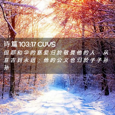 Picture 02 - 诗 篇 103:17 CUVS - 但 耶 和 华 的 慈 爱 归 於 敬 畏 他 - Bible Verse Picture