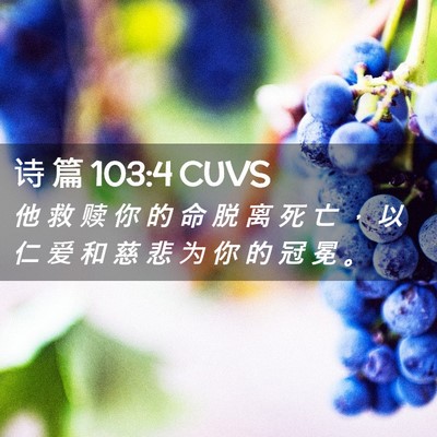 Picture 02 - 诗 篇 103:4 CUVS - 他 救 赎 你 的 命 脱 离 死 亡 ， 以 - Bible Verse Picture