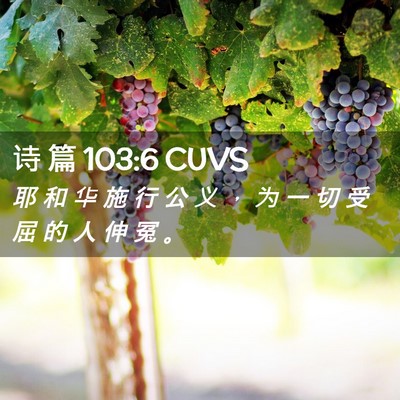 Picture 02 - 诗 篇 103:6 CUVS - 耶 和 华 施 行 公 义 ， 为 一 切 受 - Bible Verse Picture