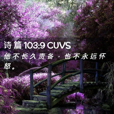 Picture 02 - 诗 篇 103:9 CUVS - 他 不 长 久 责 备 ， 也 不 永 远 怀 - Bible Verse Picture