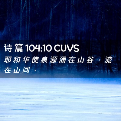 Picture 02 - 诗 篇 104:10 CUVS - 耶 和 华 使 泉 源 涌 在 山 谷 ， 流 - Bible Verse Picture