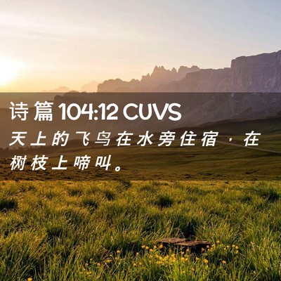 Picture 02 - 诗 篇 104:12 CUVS - 天 上 的 飞 鸟 在 水 旁 住 宿 ， 在 - Bible Verse Picture