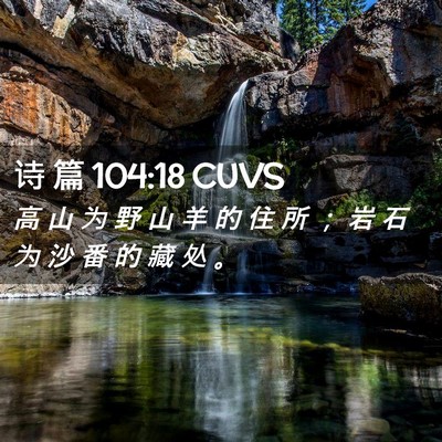 Picture 02 - 诗 篇 104:18 CUVS - 高 山 为 野 山 羊 的 住 所 ； 岩 石 - Bible Verse Picture