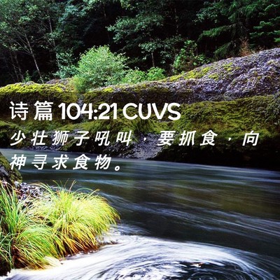 Picture 02 - 诗 篇 104:21 CUVS - 少 壮 狮 子 吼 叫 ， 要 抓 食 ， 向 - Bible Verse Picture