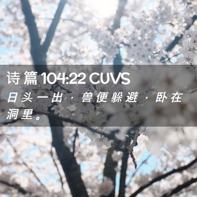 Picture 02 - 诗 篇 104:22 CUVS - 日 头 一 出 ， 兽 便 躲 避 ， 卧 在 - Bible Verse Picture