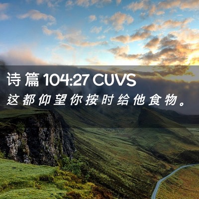 Picture 02 - 诗 篇 104:27 CUVS - 这 都 仰 望 你 按 时 给 他 食 物 - Bible Verse Picture