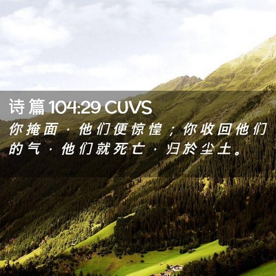 Picture 02 - 诗 篇 104:29 CUVS - 你 掩 面 ， 他 们 便 惊 惶 ； 你 收 - Bible Verse Picture