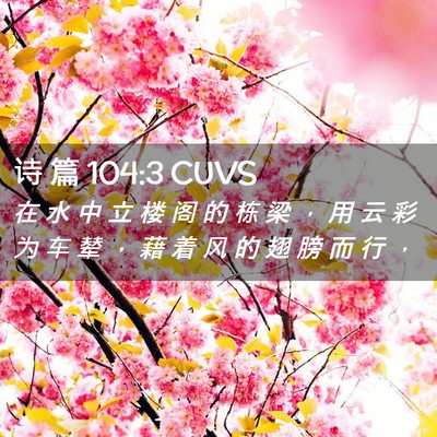 Picture 02 - 诗 篇 104:3 CUVS - 在 水 中 立 楼 阁 的 栋 梁 ， 用 云 - Bible Verse Picture