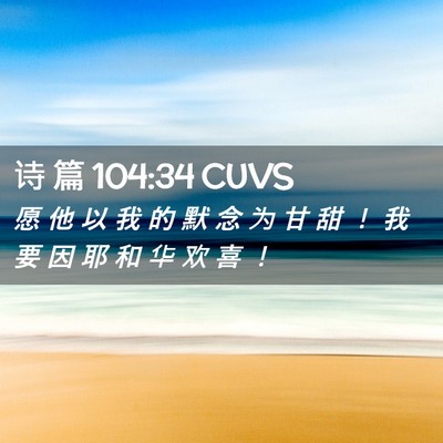 Picture 02 - 诗 篇 104:34 CUVS - 愿 他 以 我 的 默 念 为 甘 甜 ！ 我 - Bible Verse Picture