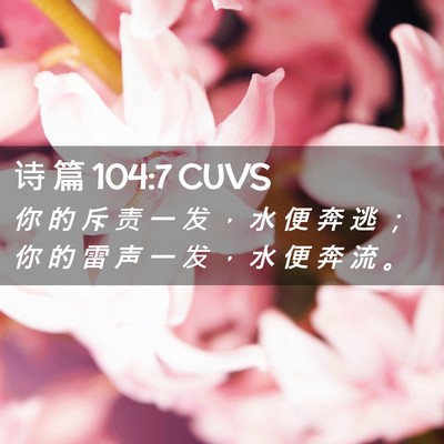 Picture 02 - 诗 篇 104:7 CUVS - 你 的 斥 责 一 发 ， 水 便 奔 逃 ； - Bible Verse Picture