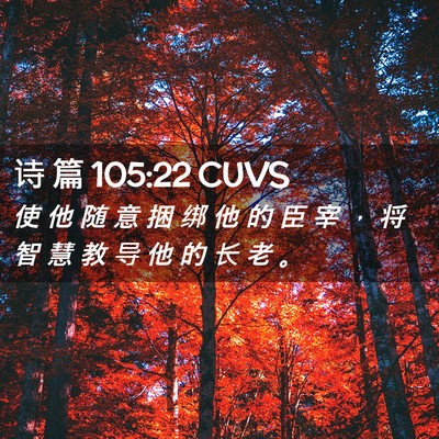 Picture 02 - 诗 篇 105:22 CUVS - 使 他 随 意 捆 绑 他 的 臣 宰 ， 将 - Bible Verse Picture