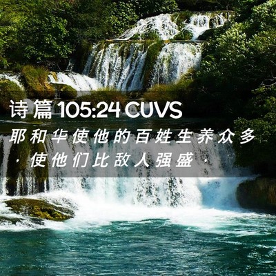 Picture 02 - 诗 篇 105:24 CUVS - 耶 和 华 使 他 的 百 姓 生 养 众 多 - Bible Verse Picture