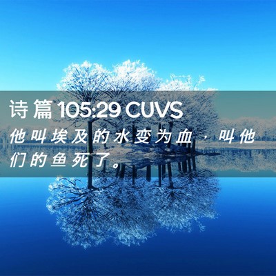 Picture 02 - 诗 篇 105:29 CUVS - 他 叫 埃 及 的 水 变 为 血 ， 叫 他 - Bible Verse Picture