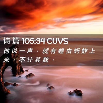 Picture 02 - 诗 篇 105:34 CUVS - 他 说 一 声 ， 就 有 蝗 虫 蚂 蚱 上 - Bible Verse Picture