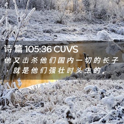 Picture 02 - 诗 篇 105:36 CUVS - 他 又 击 杀 他 们 国 内 一 切 的 长 - Bible Verse Picture