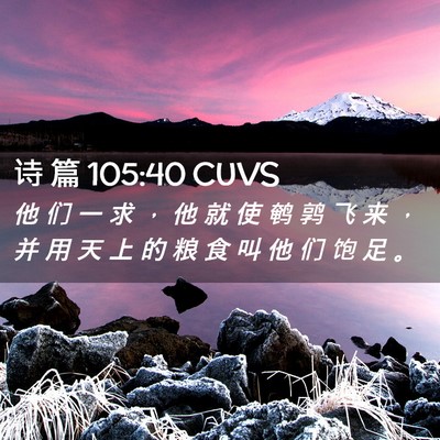 Picture 02 - 诗 篇 105:40 CUVS - 他 们 一 求 ， 他 就 使 鹌 鹑 飞 来 - Bible Verse Picture