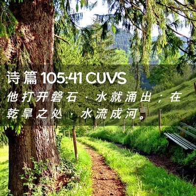 Picture 02 - 诗 篇 105:41 CUVS - 他 打 开 磐 石 ， 水 就 涌 出 ； 在 - Bible Verse Picture