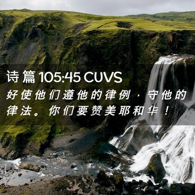 Picture 02 - 诗 篇 105:45 CUVS - 好 使 他 们 遵 他 的 律 例 ， 守 他 - Bible Verse Picture