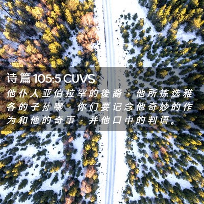 Picture 02 - 诗 篇 105:5 CUVS - 他 仆 人 亚 伯 拉 罕 的 後 裔 ， 他 - Bible Verse Picture