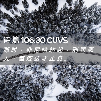 Picture 02 - 诗 篇 106:30 CUVS - 那 时 ， 非 尼 哈 站 起 ， 刑 罚 恶 - Bible Verse Picture