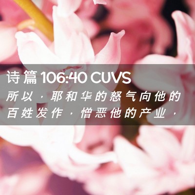 Picture 02 - 诗 篇 106:40 CUVS - 所 以 ， 耶 和 华 的 怒 气 向 他 的 - Bible Verse Picture