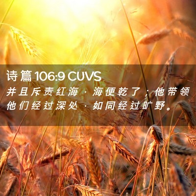 Picture 02 - 诗 篇 106:9 CUVS - 并 且 斥 责 红 海 ， 海 便 乾 了 ； - Bible Verse Picture