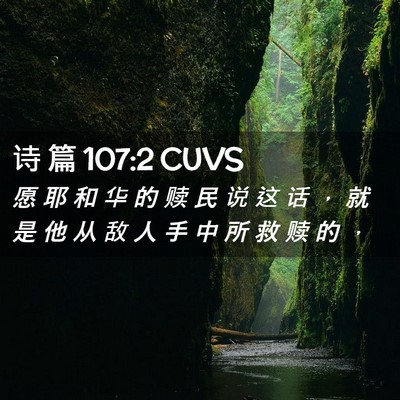 Picture 02 - 诗 篇 107:2 CUVS - 愿 耶 和 华 的 赎 民 说 这 话 ， 就 - Bible Verse Picture