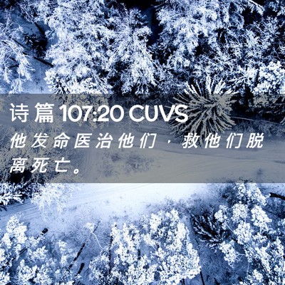 Picture 02 - 诗 篇 107:20 CUVS - 他 发 命 医 治 他 们 ， 救 他 们 脱 - Bible Verse Picture