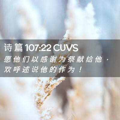 Picture 02 - 诗 篇 107:22 CUVS - 愿 他 们 以 感 谢 为 祭 献 给 他 ， - Bible Verse Picture