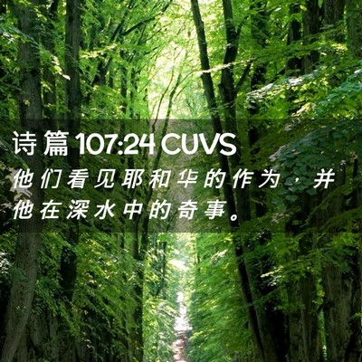 Picture 02 - 诗 篇 107:24 CUVS - 他 们 看 见 耶 和 华 的 作 为 ， 并 - Bible Verse Picture