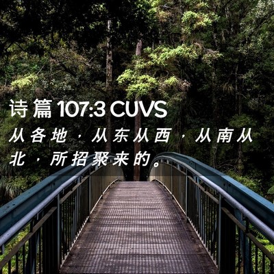 Picture 02 - 诗 篇 107:3 CUVS - 从 各 地 ， 从 东 从 西 ， 从 南 从 - Bible Verse Picture