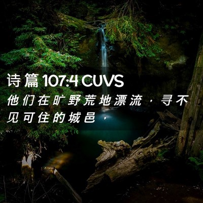 Picture 02 - 诗 篇 107:4 CUVS - 他 们 在 旷 野 荒 地 漂 流 ， 寻 不 - Bible Verse Picture