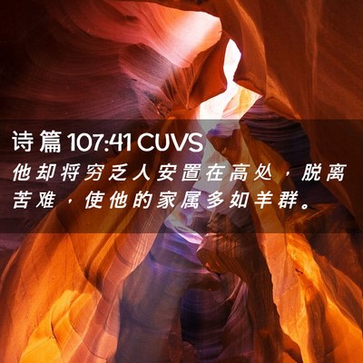 Picture 02 - 诗 篇 107:41 CUVS - 他 却 将 穷 乏 人 安 置 在 高 处 ， - Bible Verse Picture