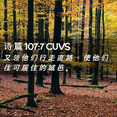 Picture 02 - 诗 篇 107:7 CUVS - 又 领 他 们 行 走 直 路 ， 使 他 们 - Bible Verse Picture