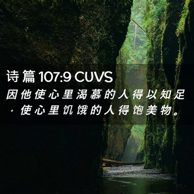 Picture 02 - 诗 篇 107:9 CUVS - 因 他 使 心 里 渴 慕 的 人 得 以 知 - Bible Verse Picture