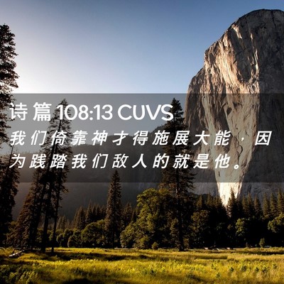 Picture 02 - 诗 篇 108:13 CUVS - 我 们 倚 靠 神 才 得 施 展 大 能 ， - Bible Verse Picture