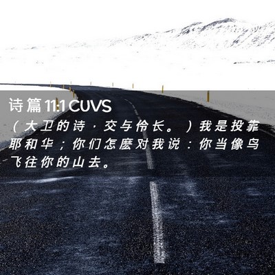 Picture 02 - 诗 篇 11:1 CUVS - （ 大 卫 的 诗 ， 交 与 伶 长 。 ） - Bible Verse Picture