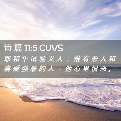 Picture 02 - 诗 篇 11:5 CUVS - 耶 和 华 试 验 义 人 ； 惟 有 恶 人 - Bible Verse Picture