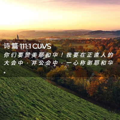 Picture 02 - 诗 篇 111:1 CUVS - 你 们 要 赞 美 耶 和 华 ！ 我 要 在 - Bible Verse Picture