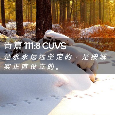 Picture 02 - 诗 篇 111:8 CUVS - 是 永 永 远 远 坚 定 的 ， 是 按 诚 - Bible Verse Picture