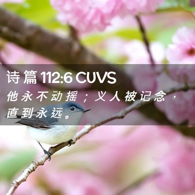 Picture 02 - 诗 篇 112:6 CUVS - 他 永 不 动 摇 ； 义 人 被 记 念 ， - Bible Verse Picture