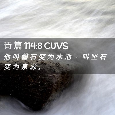 Picture 02 - 诗 篇 114:8 CUVS - 他 叫 磐 石 变 为 水 池 ， 叫 坚 石 - Bible Verse Picture