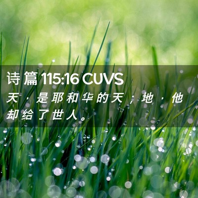 Picture 02 - 诗 篇 115:16 CUVS - 天 ， 是 耶 和 华 的 天 ； 地 ， 他 - Bible Verse Picture