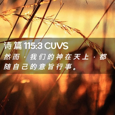 Picture 02 - 诗 篇 115:3 CUVS - 然 而 ， 我 们 的 神 在 天 上 ， 都 - Bible Verse Picture