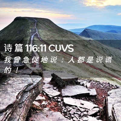 Picture 02 - 诗 篇 116:11 CUVS - 我 曾 急 促 地 说 ： 人 都 是 说 谎 - Bible Verse Picture